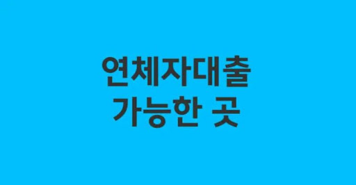연체자대출 대출기간 조정 방법