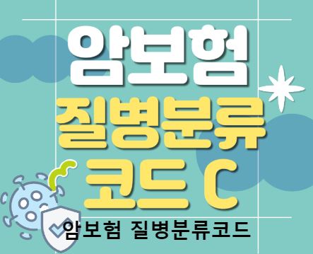 보험비교사이트 위즈인슈로 완벽한 보험 찾기