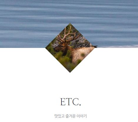 태상의 미니샵에서 타운하우스 라이프를 제대로 즐기는 법